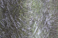 Burlinch fibreglass roof work